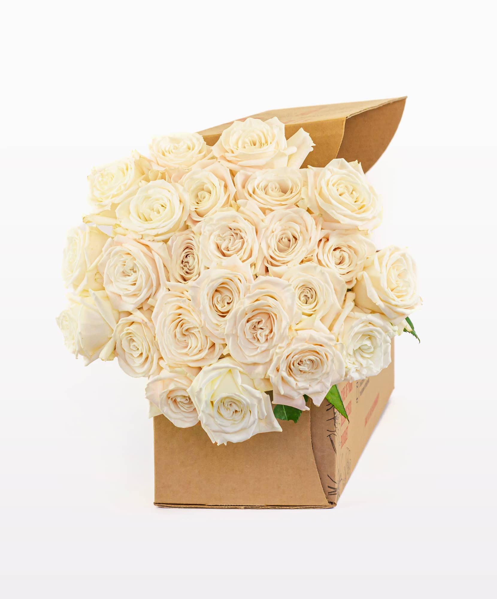 A charming arrangement of creamy white roses elegantly presented in a stylish box.