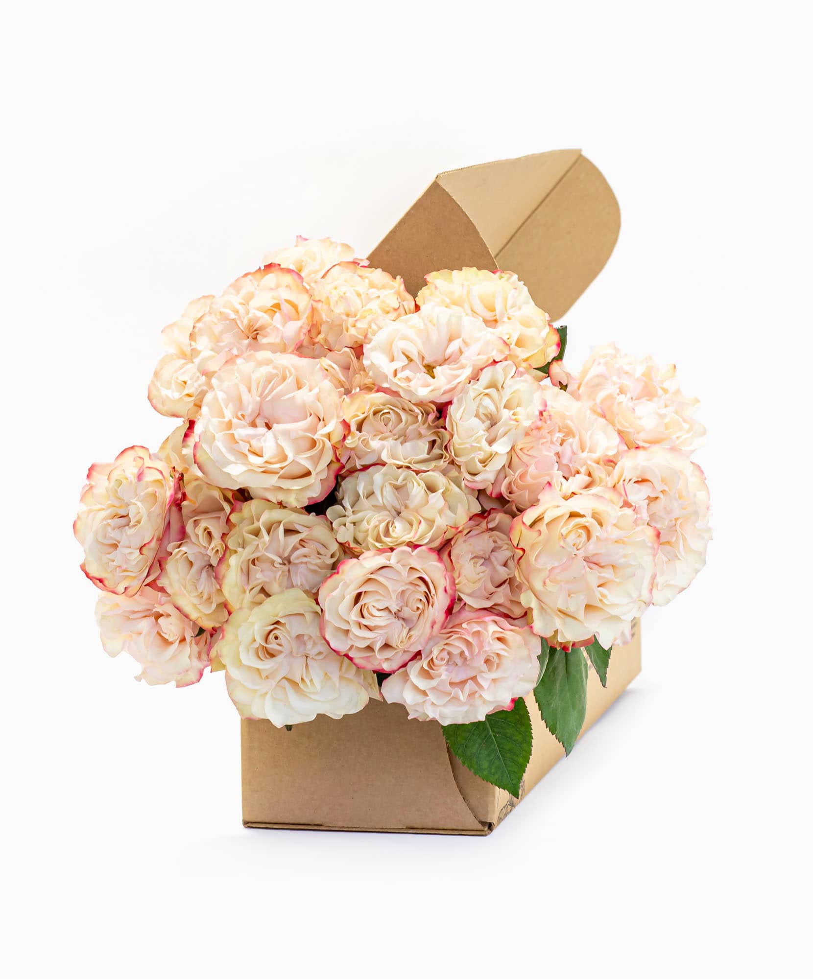 Delicate blush roses elegantly arranged in a charming gift box, perfect for any occasion.
