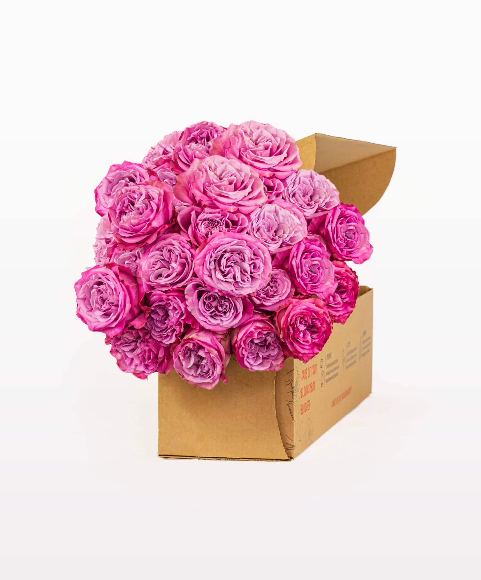 Beautiful pink rose bouquet in a cozy box, perfect for gifting or home decor.
