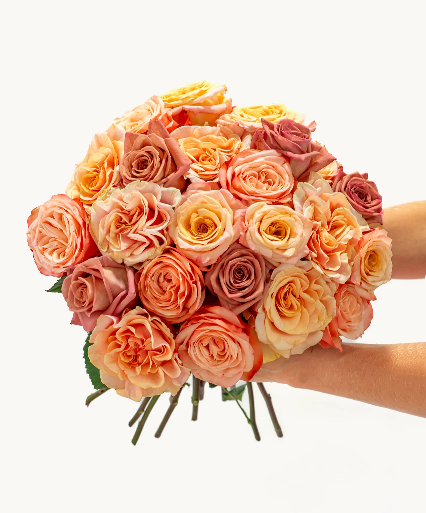 Vibrant bouquet of pastel roses in peach, pink, and cream tones, perfect for celebrations.