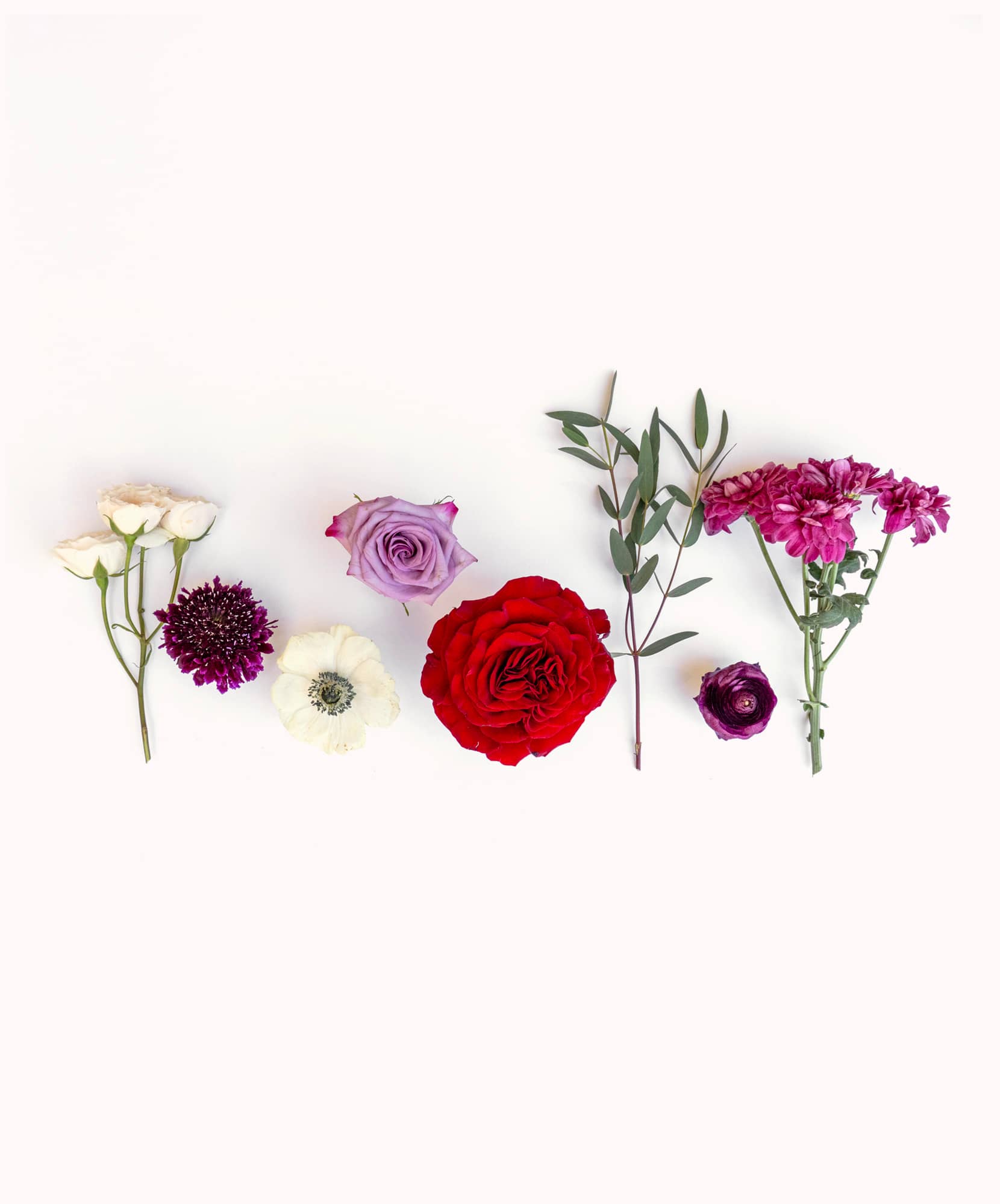 A vibrant floral arrangement featuring red roses, purple blooms, and delicate white flowers.