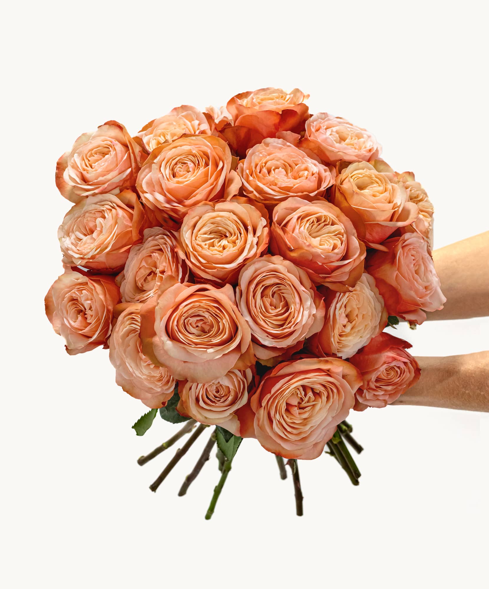 Beautiful peach roses arranged in a lush bouquet, perfect for any floral celebration.
